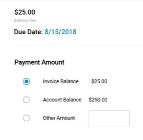 Autobooks payment details screen.
